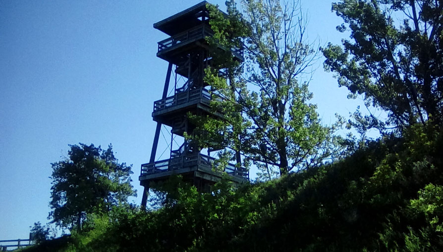 Photo shows a three-level wooden tower beside a tall tree on a grassy hill.