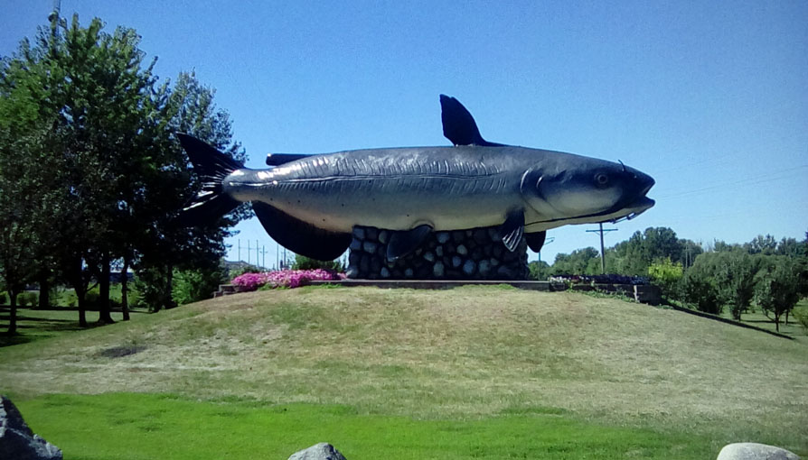 Photo shows a grass covered mound, on top of which is a giant catfish statue.