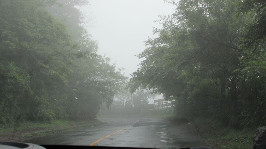 Photo shows a rainy day; a wet road with green bush trees on both sides, grey sky.