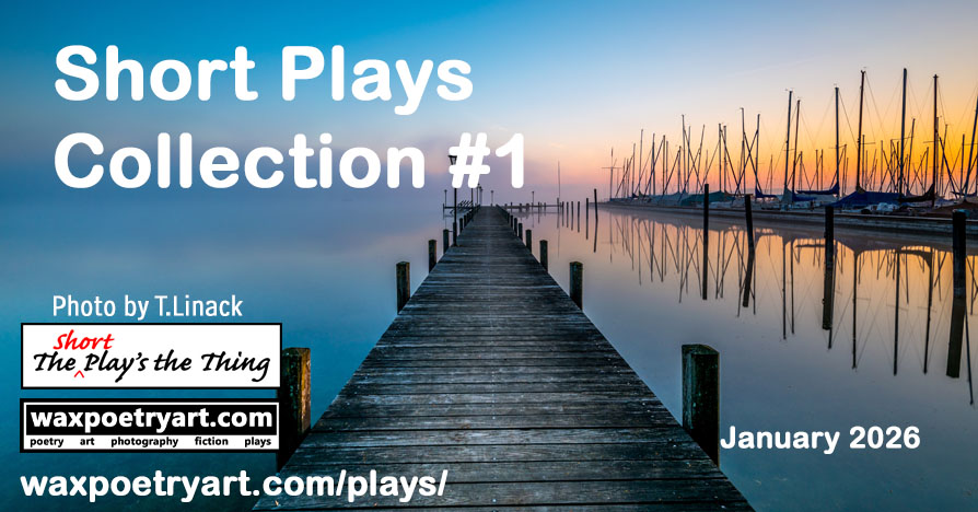 Short Plays Collection #1.