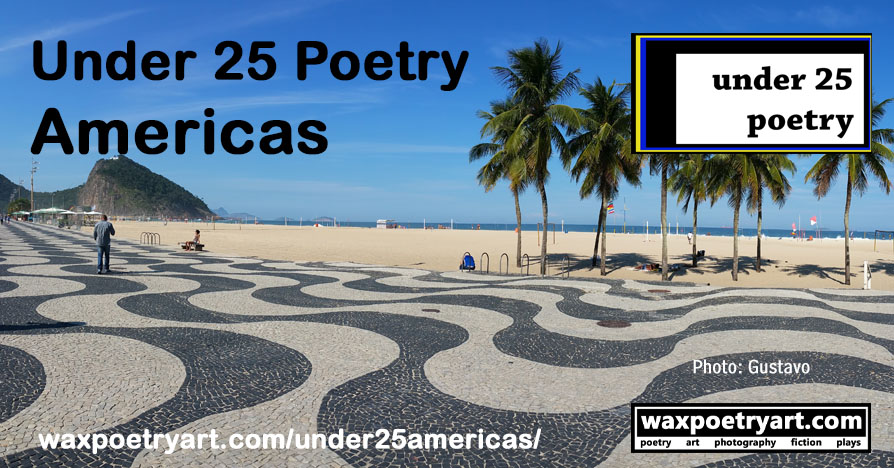 Cover photo shows a walkway with wavy black and white lines on a beach with palm trees on a bright, sunny day.