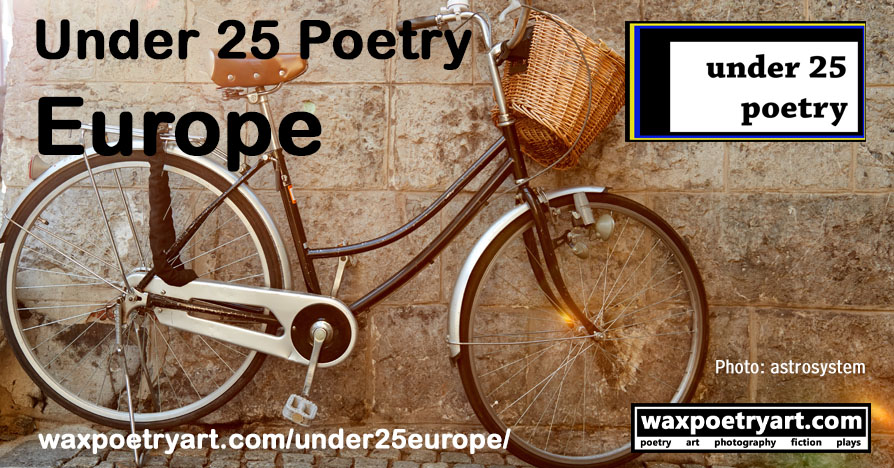 Cover photo shows a vintage street bicycle in front of a brick wall on a brick road.