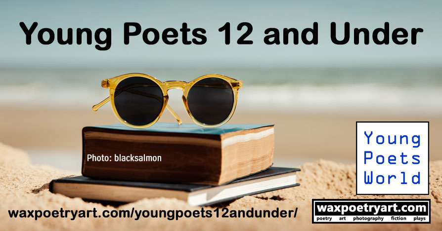 Cover image shows sunglasses on top of a book, on top of a journal, on top of the sand at a beach.