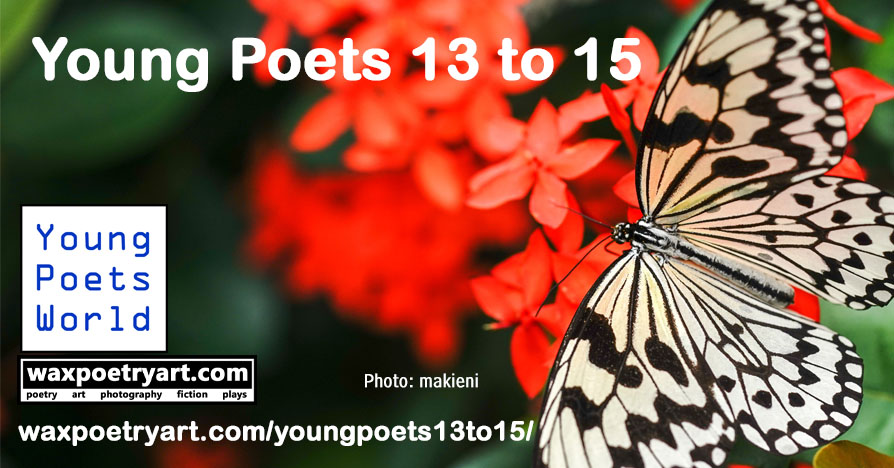Cover photo shows a white and black butterfly atop red flowers.